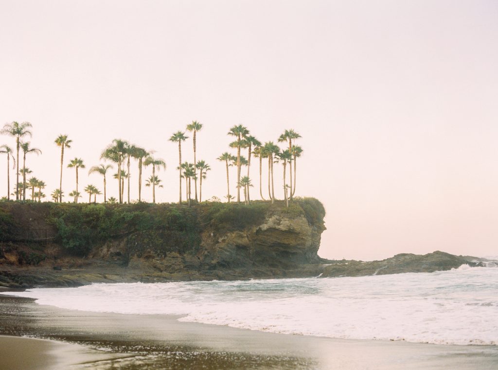 palm-trees-on-a-cliff-at-sunset