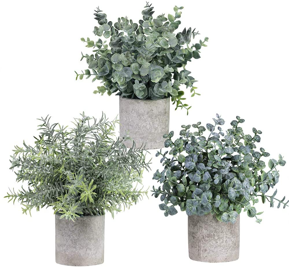 Winlyn Set of 3 Mini Potted Artificial Eucalyptus Plants